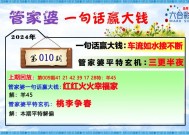 2025管家婆一肖一码精准100%-精选解析与落实的详细结果