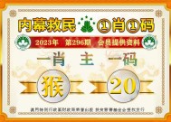 澳门一肖一码100精准2025正版-全面探讨落实与释义全方位