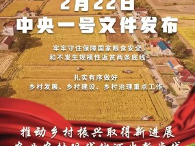 2025年中央一号文件首提“农业新质生产力”|界面新闻 · 快讯