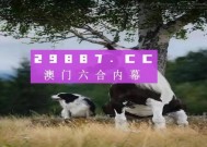 澳门四不像网凤凰-全面探讨落实与释义全方位